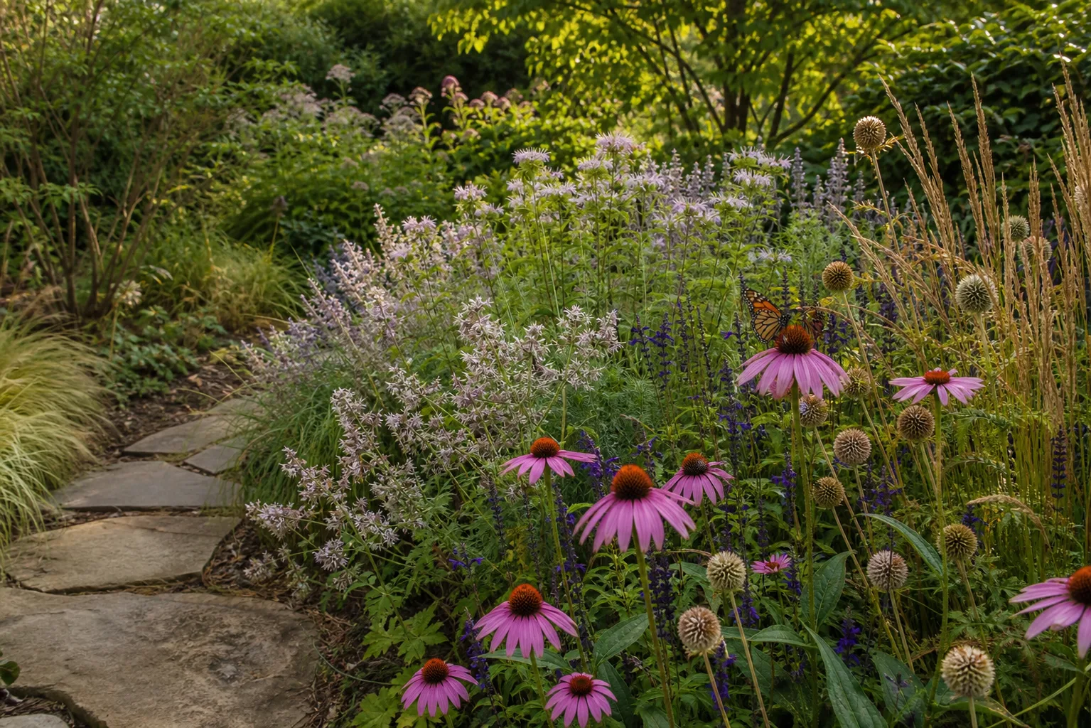 Fictional pollinator planting beside a stone path